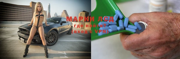 крисы Баксан