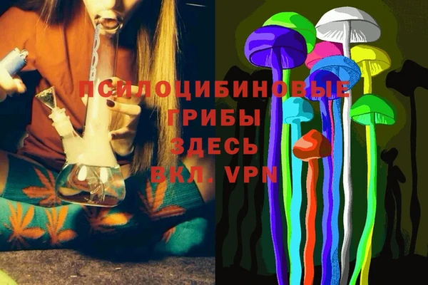 mdpv Беломорск