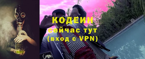 гидра Богородск