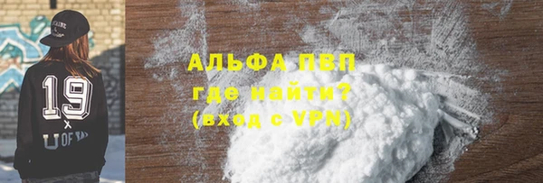 гидра Богородск